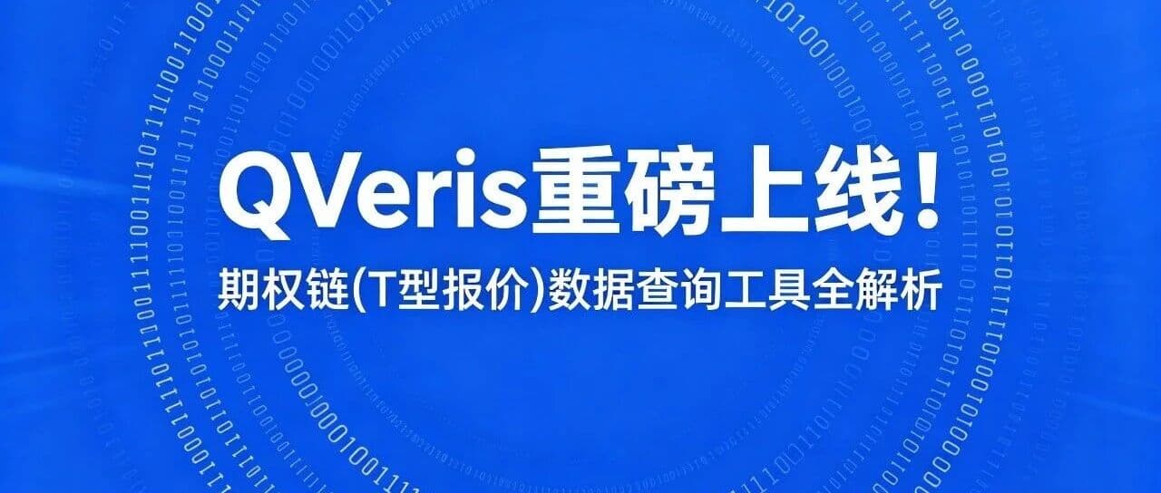 QVeris重磅上线!期权链(T型报价)数据查询工具全解析